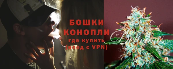 шишки Струнино