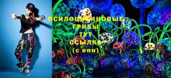 гидра Строитель