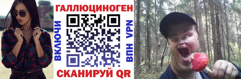 Псилоцибиновые грибы Psilocybe  Северобайкальск 