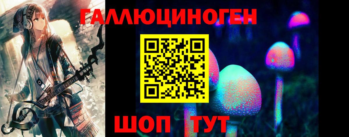 Галлюциногенные грибы Psilocybe  Вход с VPN  Северобайкальск  Галлюциногенные грибы GOLDEN TEACHER 